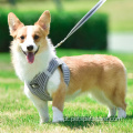 Arnês de cães com colarinho de colarinho combinando conjunto